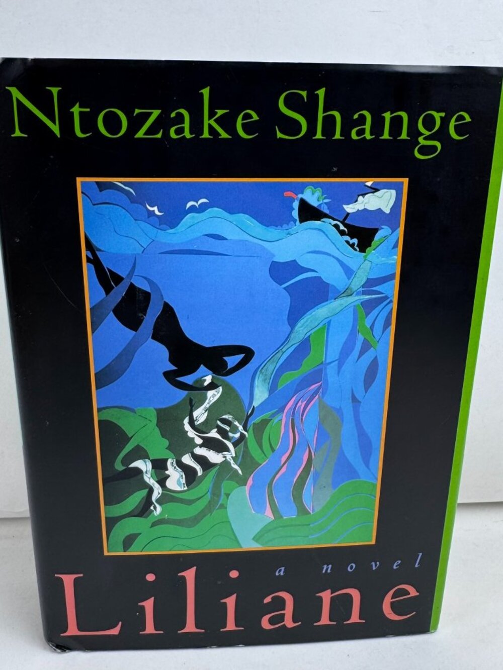Liliane A Novel by Ntozake Shange Hardcover Book Dust Jacket 0312113102